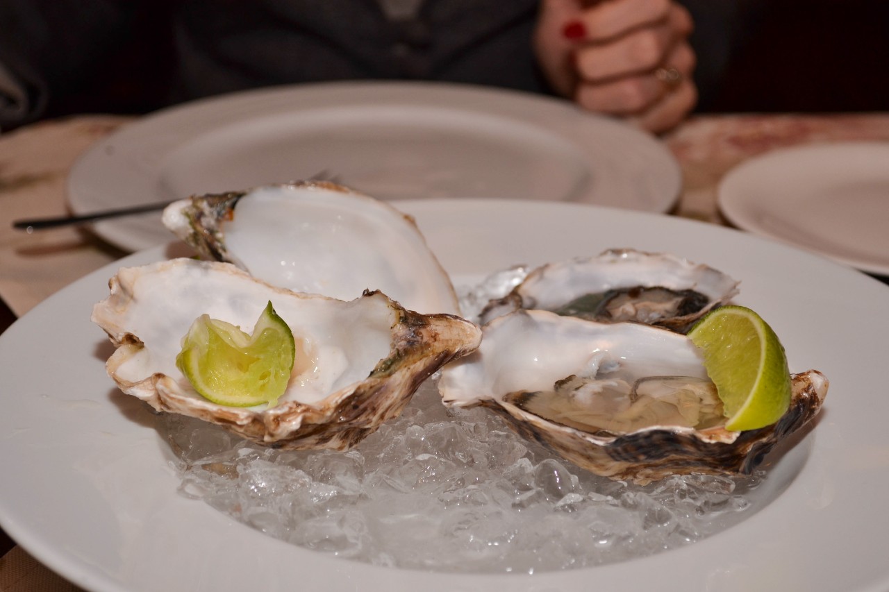 Den 6: Polače - Kobaš, Pelješac (20.00 NM)