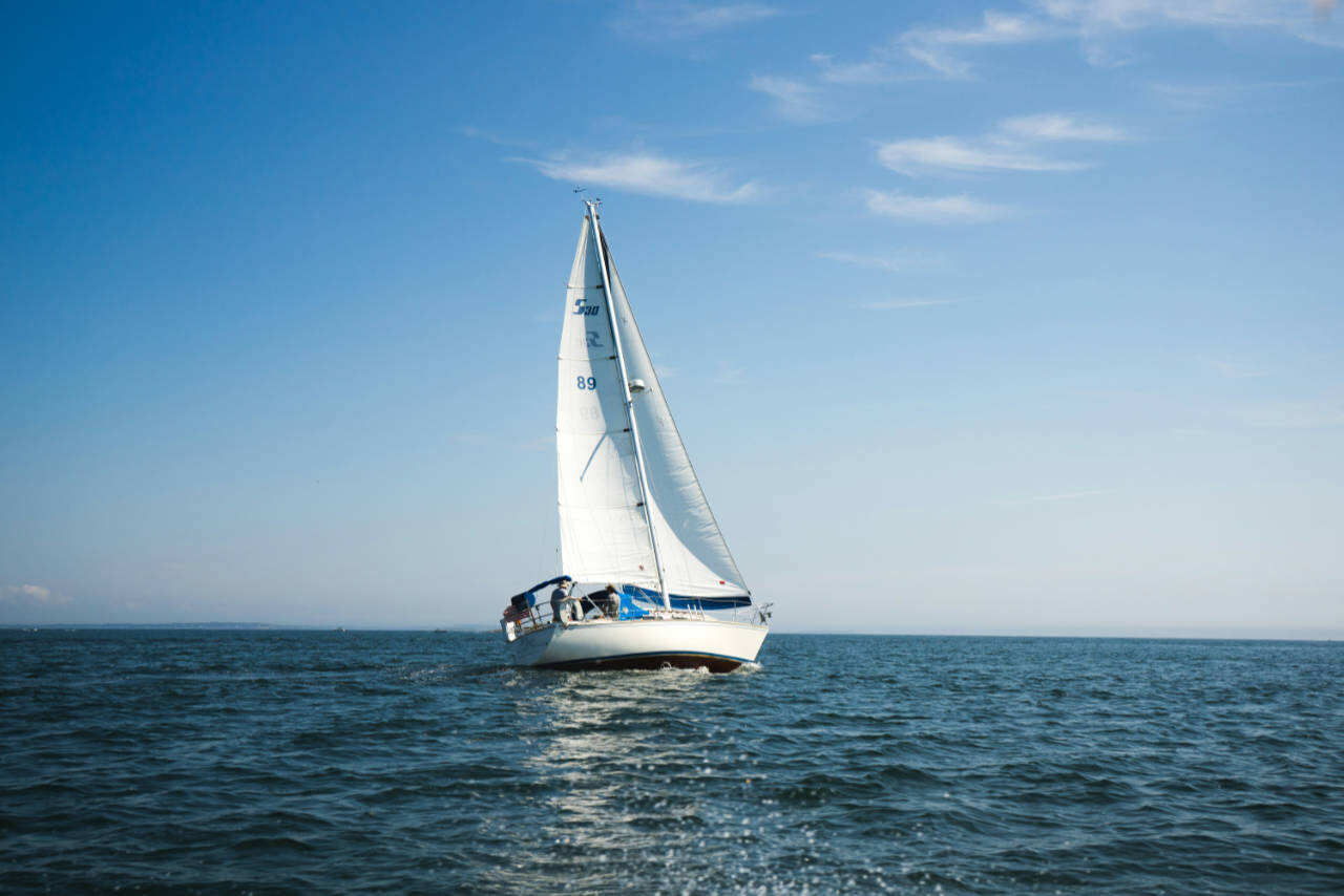 Conditions for obtaining the licence